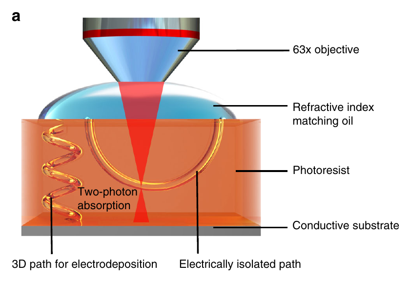Fabrication diagram showing two-photon lithography paths for electrodeposition and polymer casting