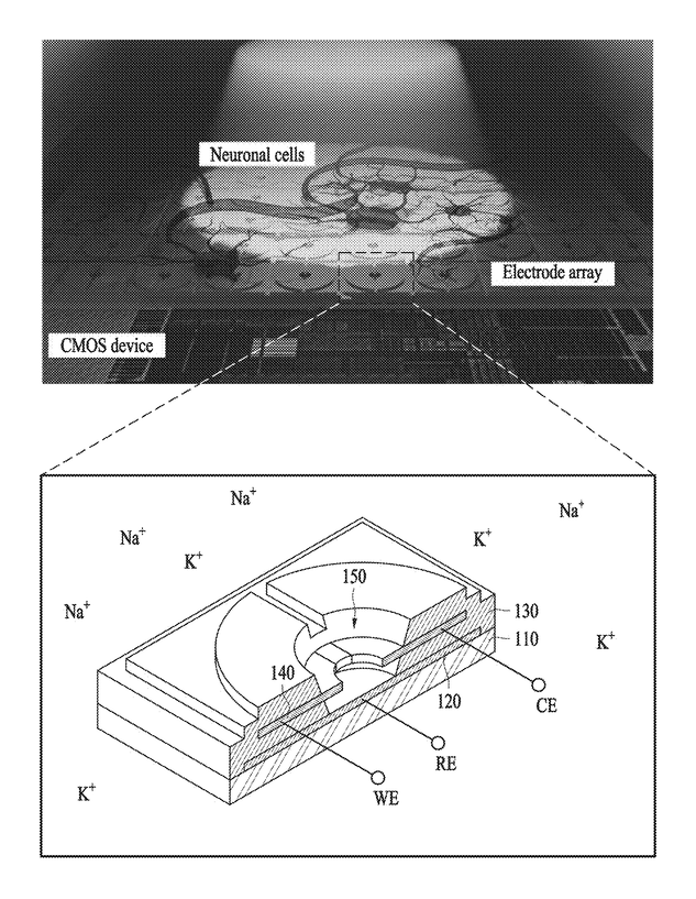 Patent image and cutaway of neuronal cells over a CMOS electrode array