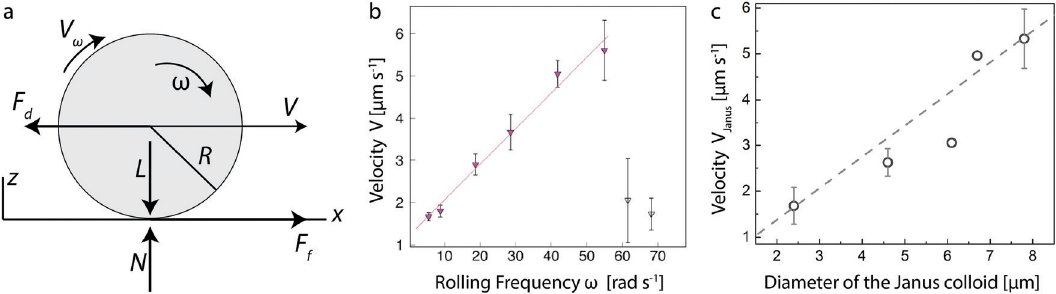 Experimental diagrams and microscopy images of electrically controlled colloidal microrollers