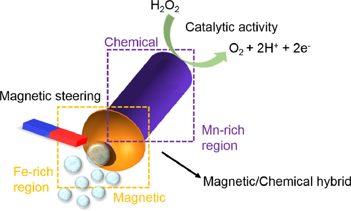 Graphical abstract of electrolyte-confined electrosynthesis for two-engine micromachines
