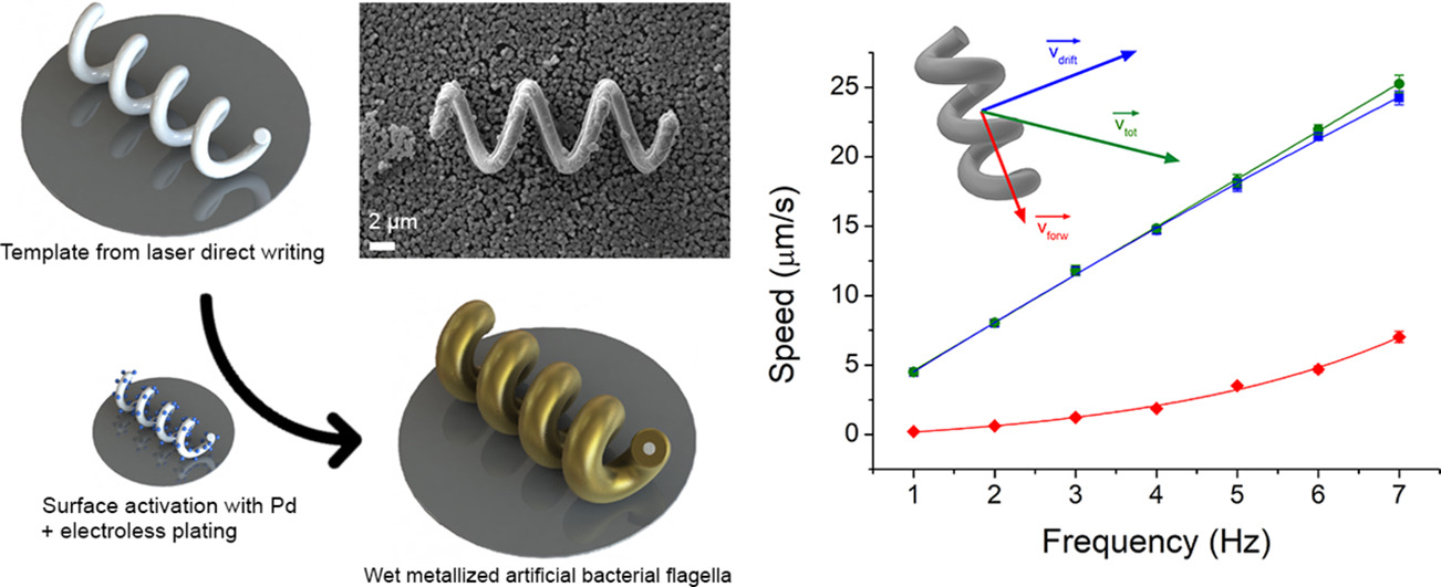 Graphical overview of wet metallization used to manufacture bioinspired microswimmers